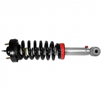 Suspension Strut and Coil Spring Assembly