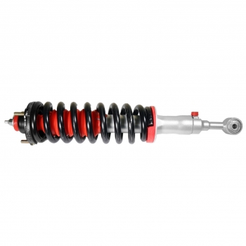Suspension Strut and Coil Spring Assembly