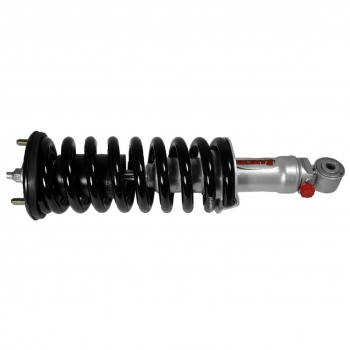 Suspension Strut and Coil Spring Assembly
