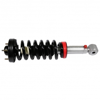 Suspension Strut and Coil Spring Assembly
