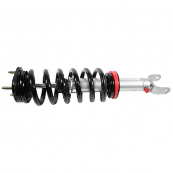 Suspension Strut and Coil Spring Assembly
