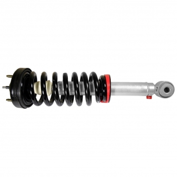 Suspension Strut and Coil Spring Assembly