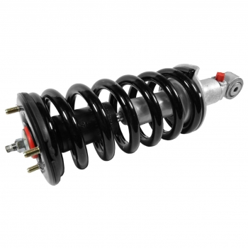 Suspension Strut and Coil Spring Assembly