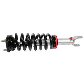 Suspension Strut and Coil Spring Assembly