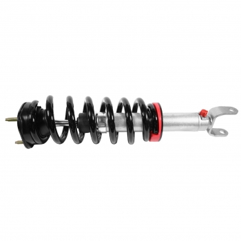 Suspension Strut and Coil Spring Assembly