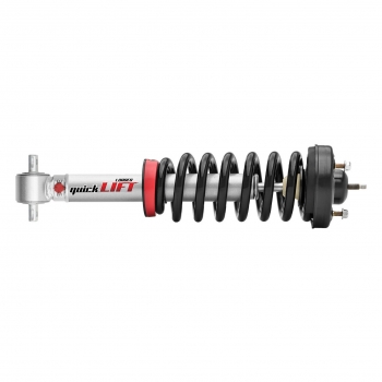 Suspension Strut and Coil Spring Assembly