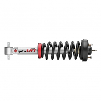 Suspension Strut and Coil Spring Assembly