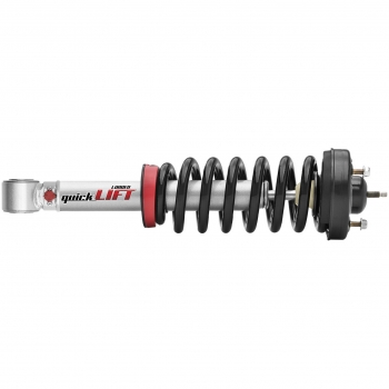 Suspension Strut and Coil Spring Assembly