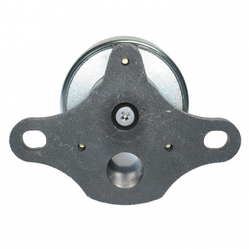 Exhaust Gas Recirculation (EGR) Valve