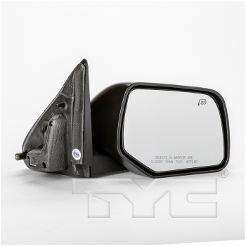 Door Mirror