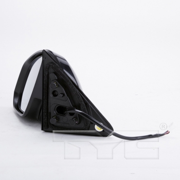 Door Mirror