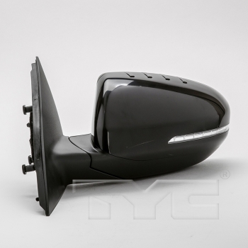 Door Mirror