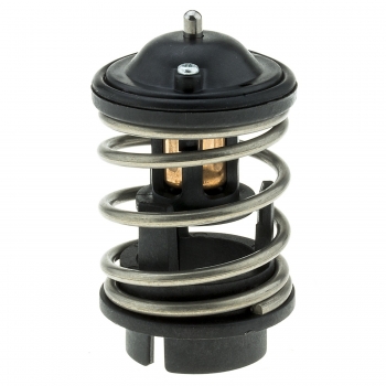 Engine Coolant Thermostat