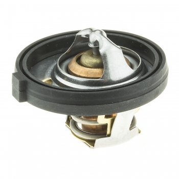Engine Coolant Thermostat