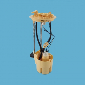 Fuel Pump Module Assembly