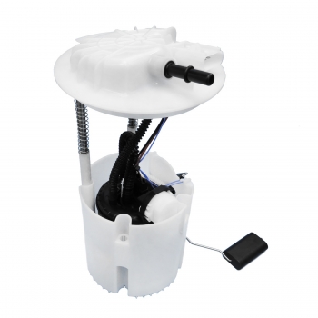 Fuel Pump Module Assembly