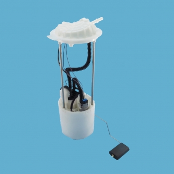 Fuel Pump Module Assembly