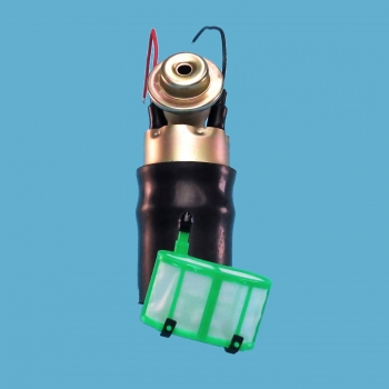 Electric Fuel Pump