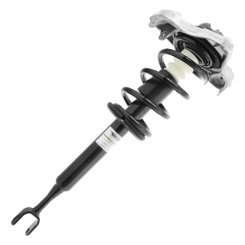 Suspension Strut and Coil Spring Assembly