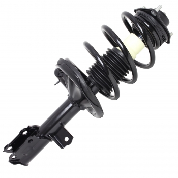 Suspension Strut and Coil Spring Assembly