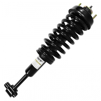 Suspension Strut and Coil Spring Assembly