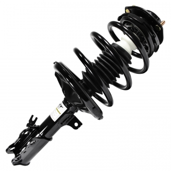 Suspension Strut and Coil Spring Assembly