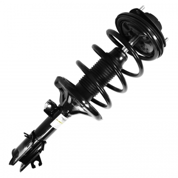 Suspension Strut and Coil Spring Assembly