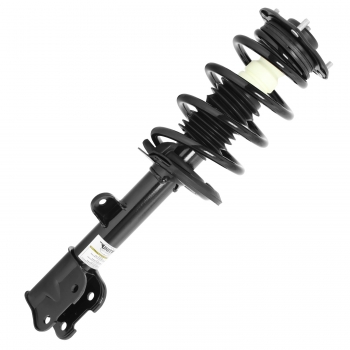 Suspension Strut and Coil Spring Assembly