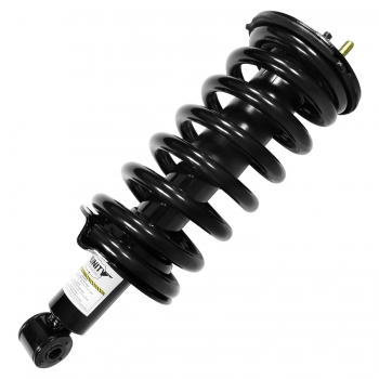 Suspension Strut and Coil Spring Assembly