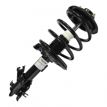Suspension Strut and Coil Spring Assembly
