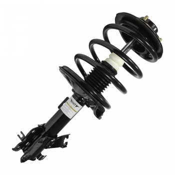 Suspension Strut and Coil Spring Assembly