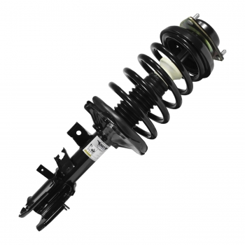 Suspension Strut and Coil Spring Assembly