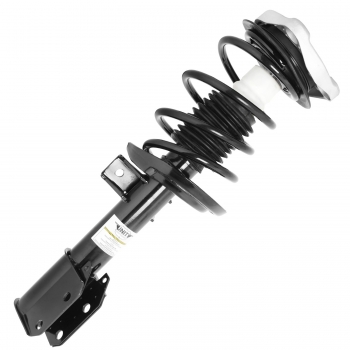 Suspension Strut and Coil Spring Assembly