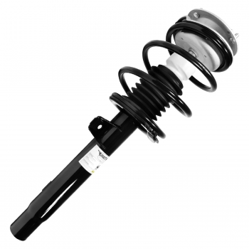 Suspension Strut and Coil Spring Assembly