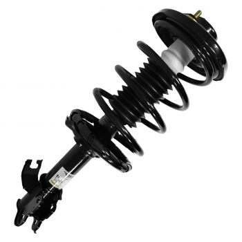 Suspension Strut and Coil Spring Assembly