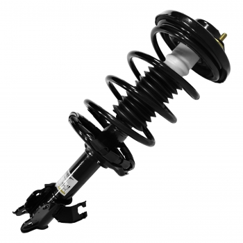 Suspension Strut and Coil Spring Assembly