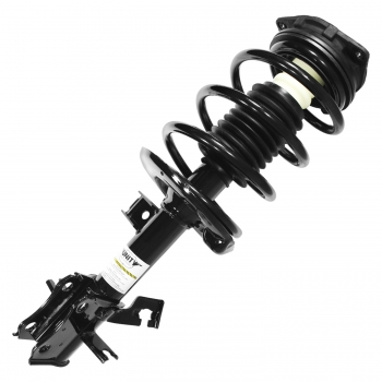 Suspension Strut and Coil Spring Assembly