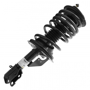 Suspension Strut and Coil Spring Assembly