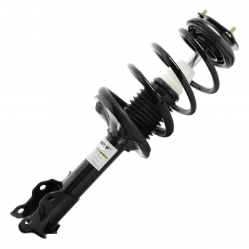 Suspension Strut and Coil Spring Assembly