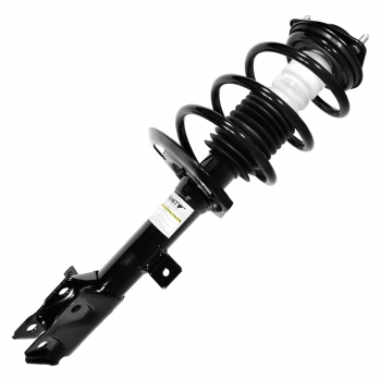 Suspension Strut and Coil Spring Assembly