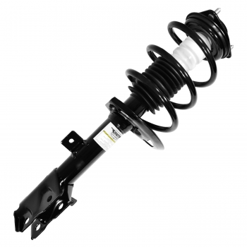 Suspension Strut and Coil Spring Assembly