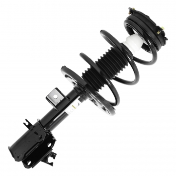 Suspension Strut and Coil Spring Assembly
