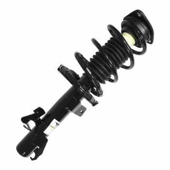 Suspension Strut and Coil Spring Assembly