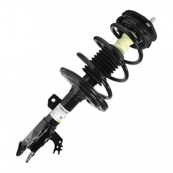 Suspension Strut and Coil Spring Assembly