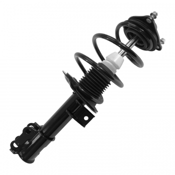 Suspension Strut and Coil Spring Assembly