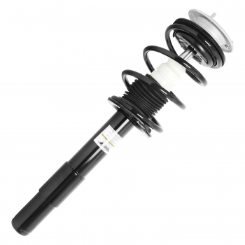 Suspension Strut and Coil Spring Assembly