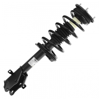 Suspension Strut and Coil Spring Assembly