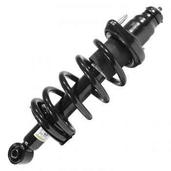 Suspension Strut and Coil Spring Assembly