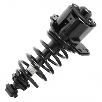 Suspension Strut and Coil Spring Assembly