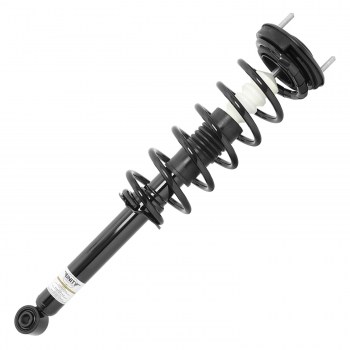 Suspension Strut and Coil Spring Assembly